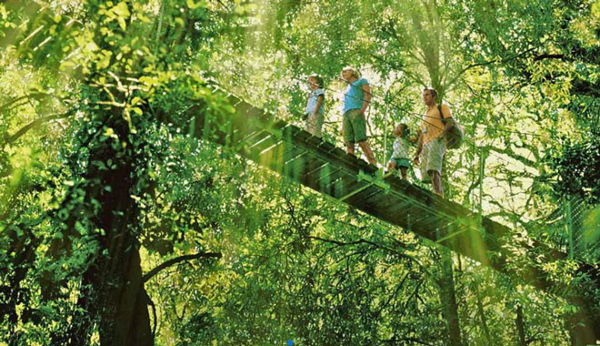 Lamington National Park, OReilly Rainforest Day Tour 2 