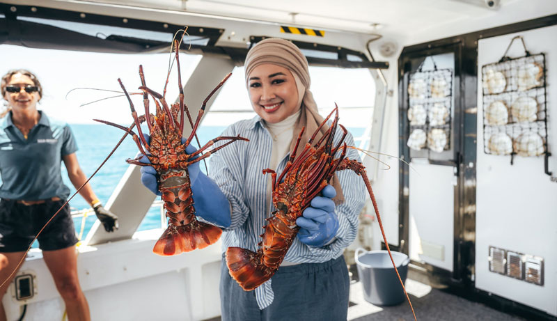 Lobster Catch and Cook Cruise WEB 018