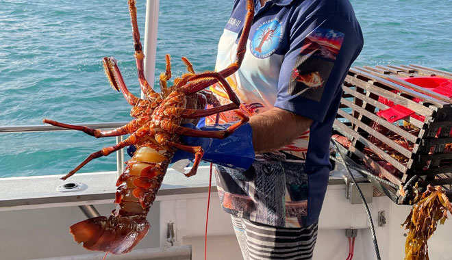 Lobster Pot Pull Kalbarri 006