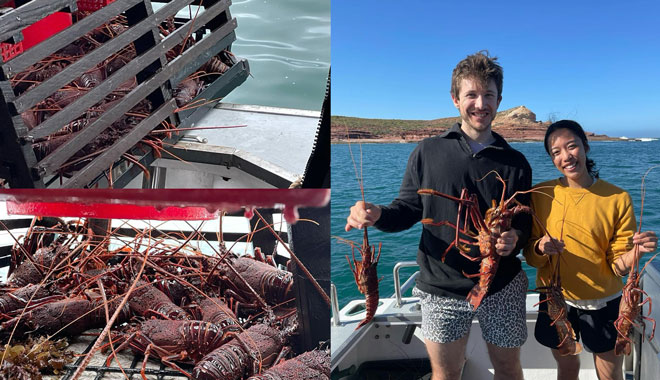 Lobster Pot Pull Tour 2Hours Cruise 051