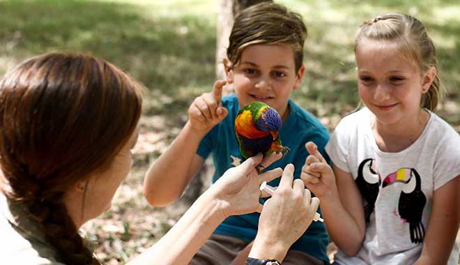 Lone Pine Koala Sanctuary 9