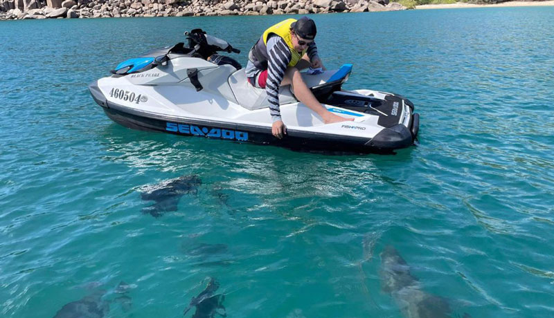 MAGNETIC ISLAND JET SKI TOUR  WEB 015