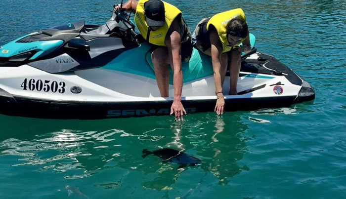MAGNETIC ISLAND JET SKI TOUR  WEB 021