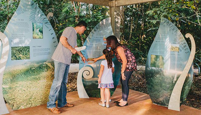 Mamu Tropical Skywalk 3