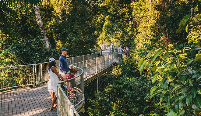Mamu Tropical Skywalk 4