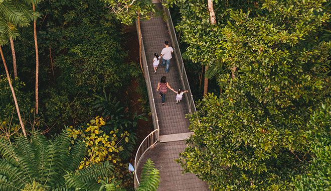 Mamu Tropical Skywalk 6