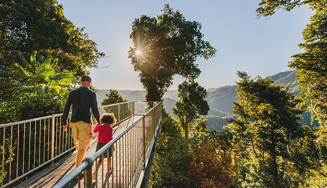 Mamu Tropical Skywalk 7