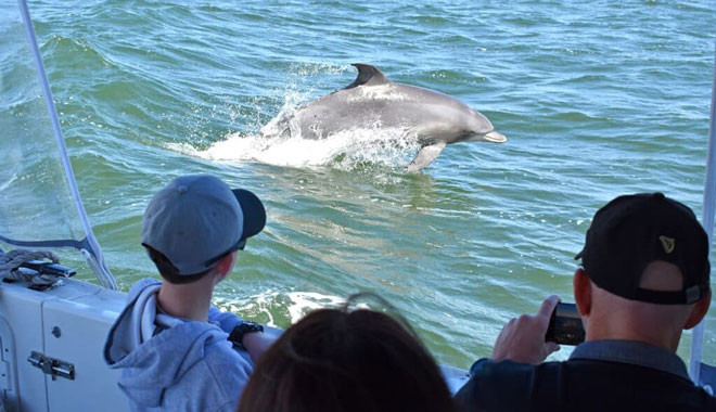 Mandurah Dolphin Cruise  Views 002