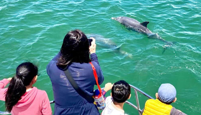 Mandurah Dolphin Cruise  Views 005