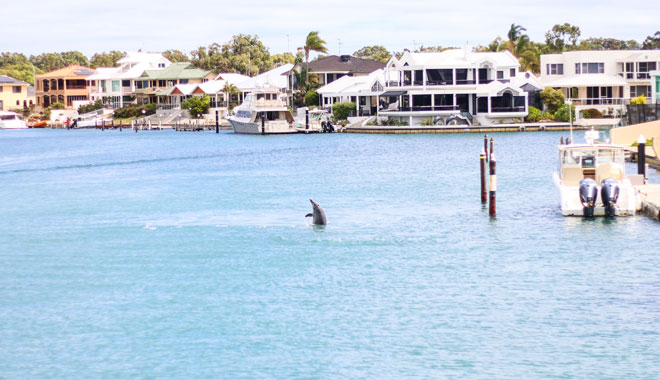 Mandurah Murray River Lunch Cruise (4)