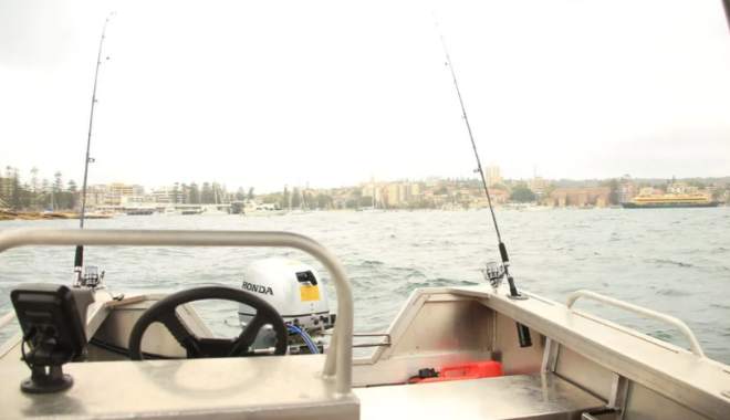 Manly Boat Hire (3)