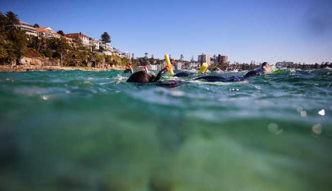 Manly Snorkel Tour (1)