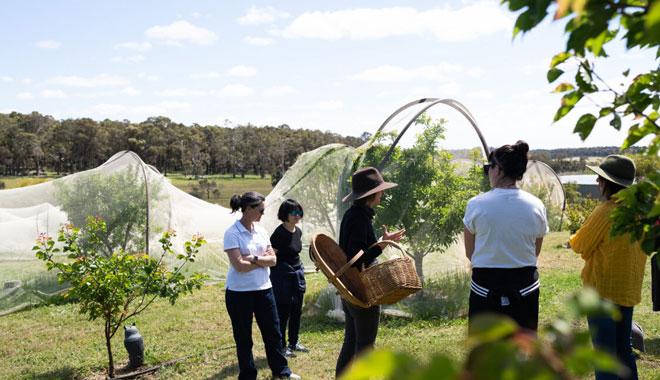 Margaret River Glamping10