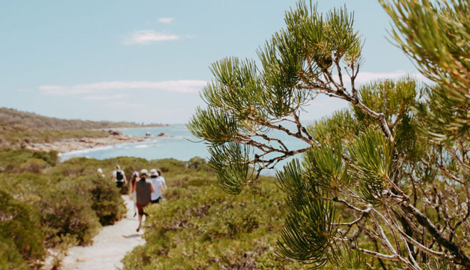 Margaret River Glamping9