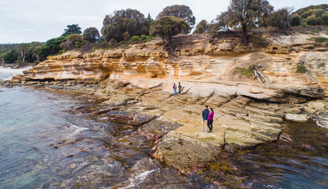 Painted Cliffs