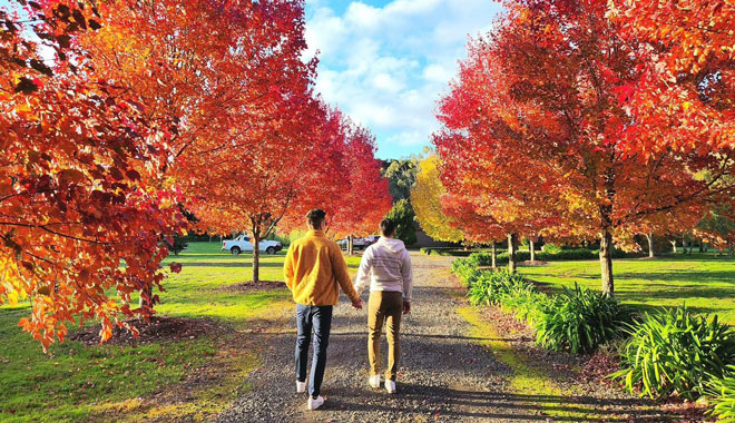 Melbourne Autumn Leaves Day Tour Chinese 001