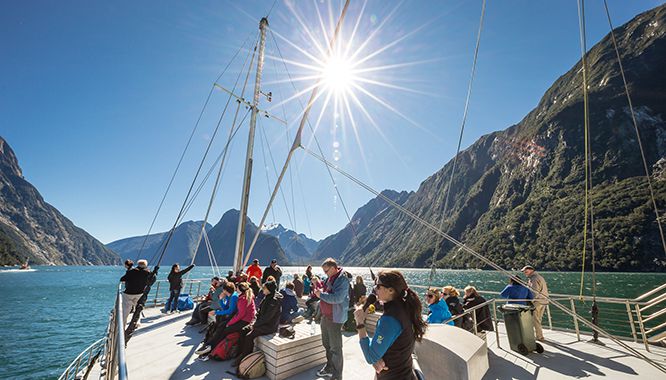 Milford Sound Nature Cruise 10