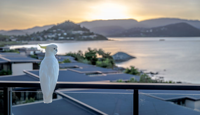 Mirage Whitsundays4