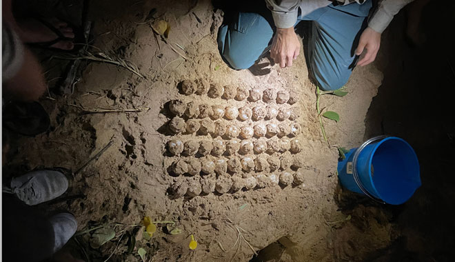 Mon Repos & Bundaberg 04