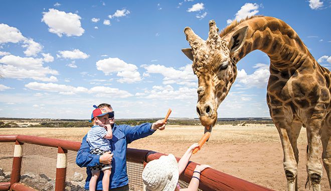 Monarto Safari Park 2