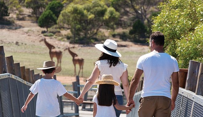 Monarto Safari Park 5