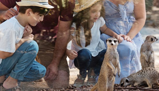 Monarto Safari Park 6