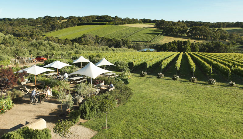 Mornington Peninsula Food & Wine Tour 011
