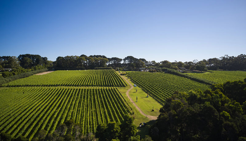 Mornington Peninsula Food & Wine Tour 020