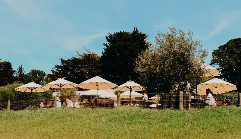Mornington Peninsula Food & Wine Tour 591