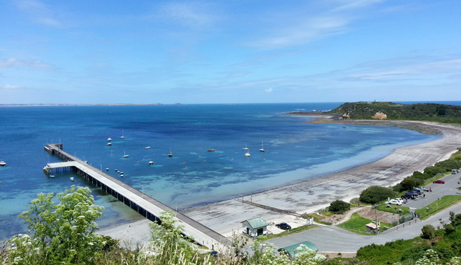 Mornington Peninsula Scenic Bus Tour A001