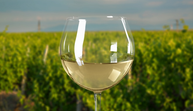 Mornington Peninsula Scenic Bus Tour A002