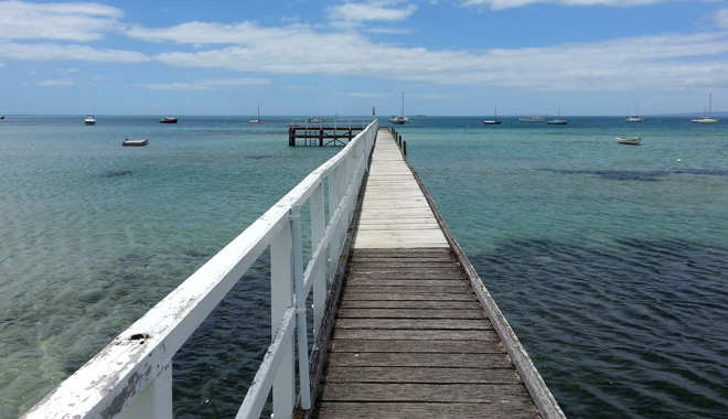 Mornington Peninsula Scenic Bus Tour A009