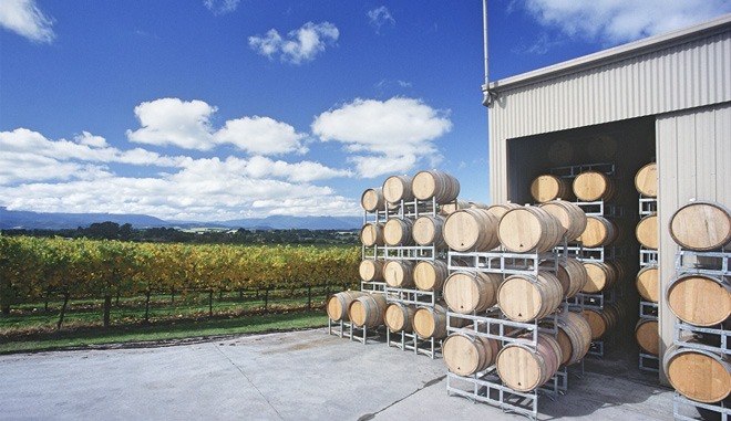 Mornington Peninsula Scenic Bus Tour A010