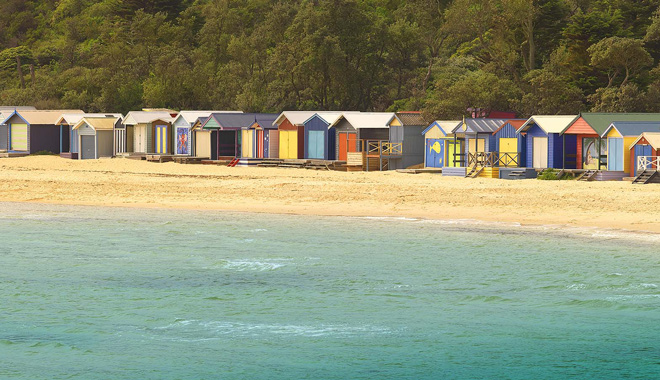 Mornington Peninsula Scenic Bus Tour A017