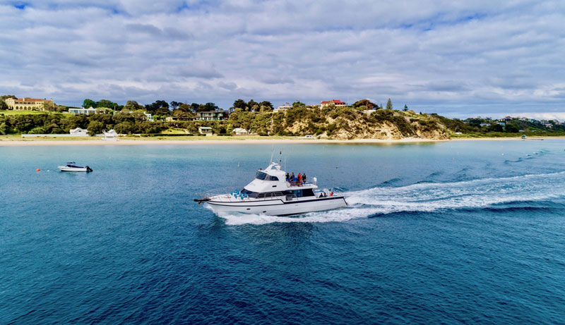 Mornington Peninsula Sightseeing Tour 691