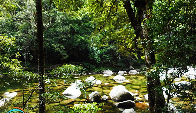 Mossman Gorge river and logo