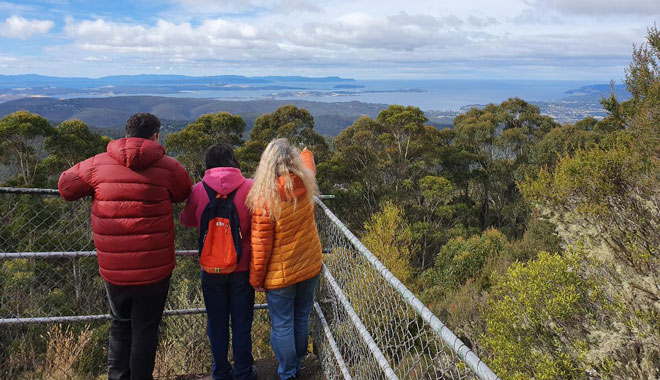 Mount Wellington Afternoon Small Group Driving Tour 055