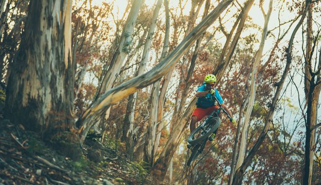 Mount Wellington Descent 2