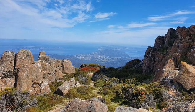 Mount Wellington Morning Walking Tour web 005