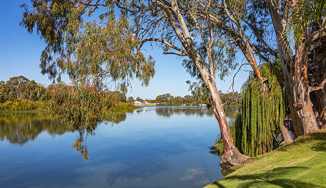 Murray River 2