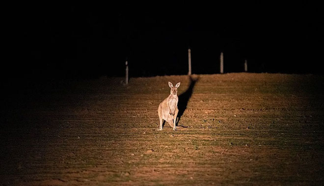 Murray River Outback Heritage4
