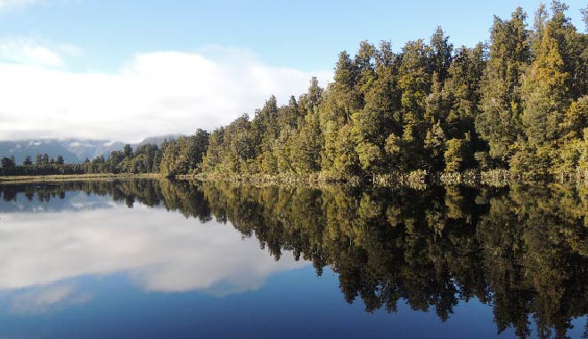 NZ LakeMatheson 02