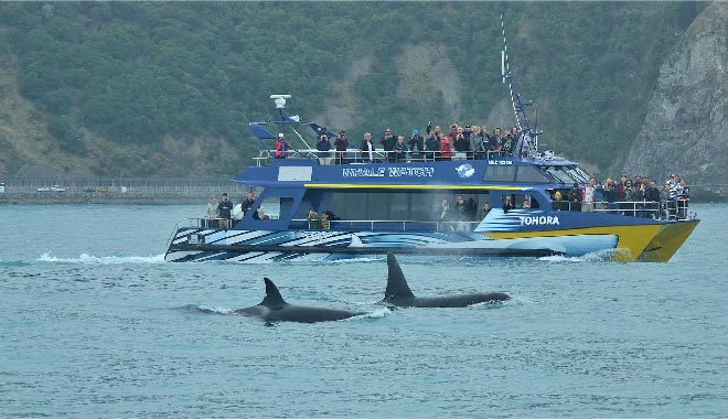 NZ South Kaikoura 05