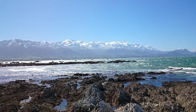 NZ South Kaikoura 32
