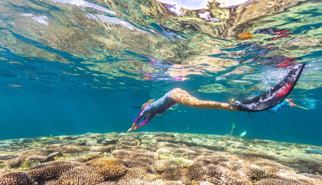Ningaloo Reef snorkel2