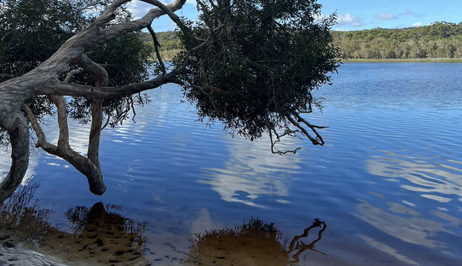 North Stradbroke Island brown lake 02
