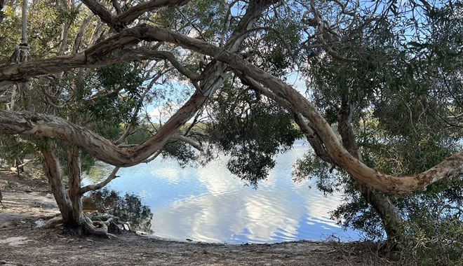 North Stradbroke Island brown lake