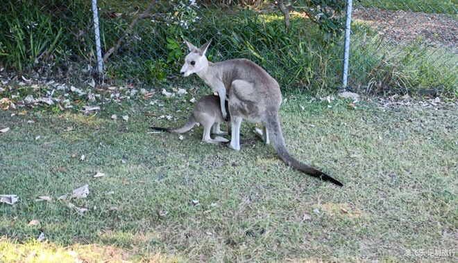 North Stradbroke Island web 04