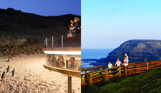 PHILLIP ISLAND