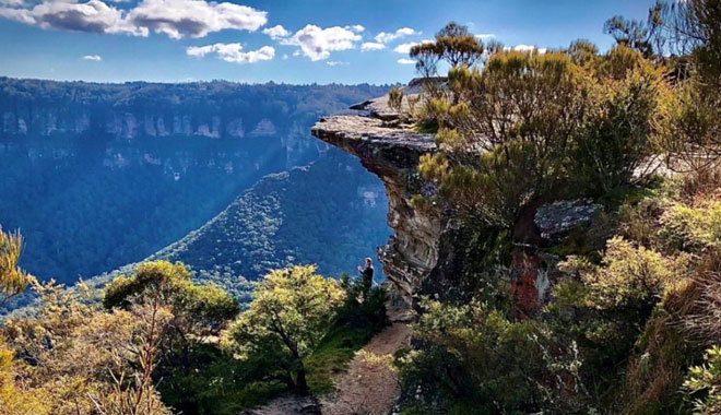 PRIVATE BLUE MOUNTAINS ECO TOUR 16